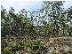 Lot 63 Lakeview Road, Lake Leake TAS 7210