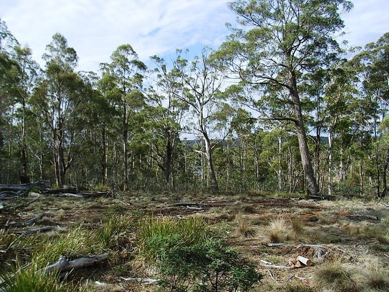 Lot 63 Lakeview Road, Lake Leake TAS 7210