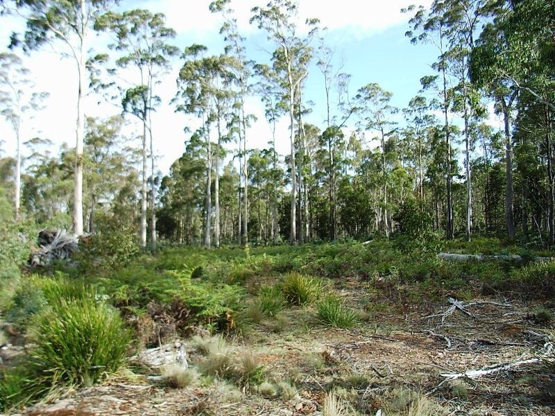 Lot 63 Lakeview Road, Lake Leake TAS 7210