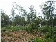 Lot 63 Lakeview Road, Lake Leake TAS 7210