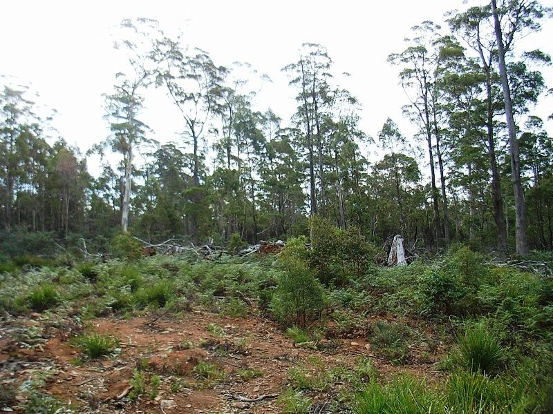Lot 63 Lakeview Road, Lake Leake TAS 7210