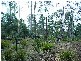Lot 63 Lakeview Road, Lake Leake TAS 7210
