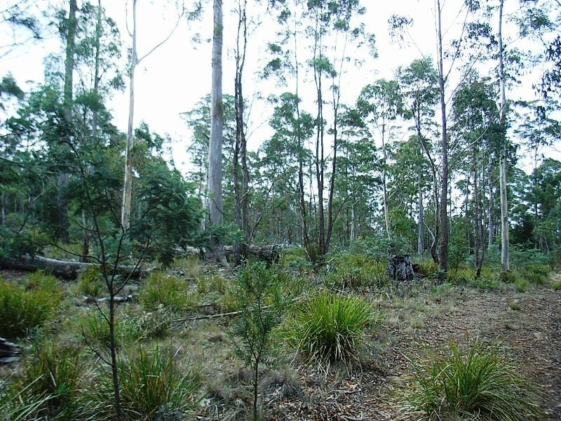 Lot 63 Lakeview Road, Lake Leake TAS 7210