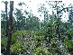 Lot 63 Lakeview Road, Lake Leake TAS 7210