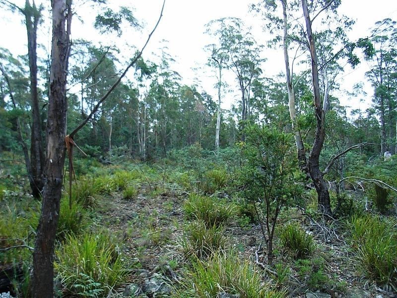 Lot 63 Lakeview Road, Lake Leake TAS 7210