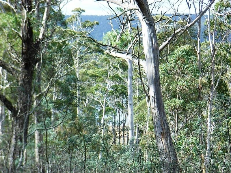 Lot 63 Lakeview Road, Lake Leake TAS 7210