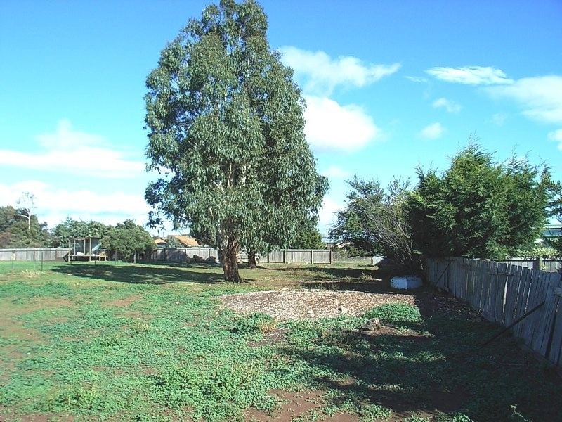 8 Leake Street, Campbell Town TAS 7210