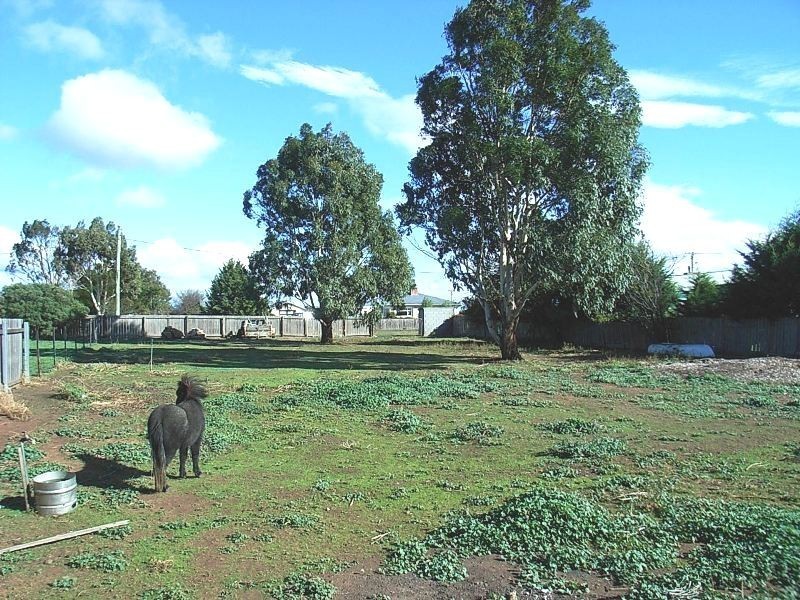 8 Leake Street, Campbell Town TAS 7210