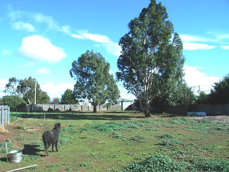 8 Leake Street, Campbell Town TAS 7210