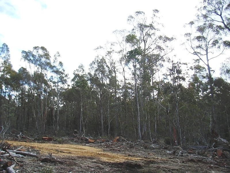 92 Lake View Road, Lake Leake TAS 7210