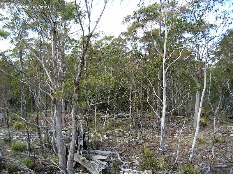 92 Lake View Road, Lake Leake TAS 7210