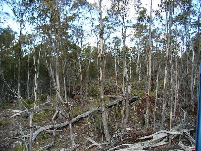 92 Lake View Road, Lake Leake TAS 7210