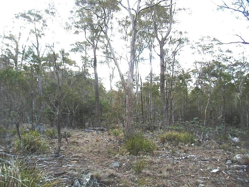 92 Lake View Road, Lake Leake TAS 7210