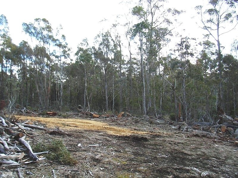 92 Lake View Road, Lake Leake TAS 7210