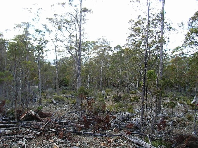 92 Lake View Road, Lake Leake TAS 7210