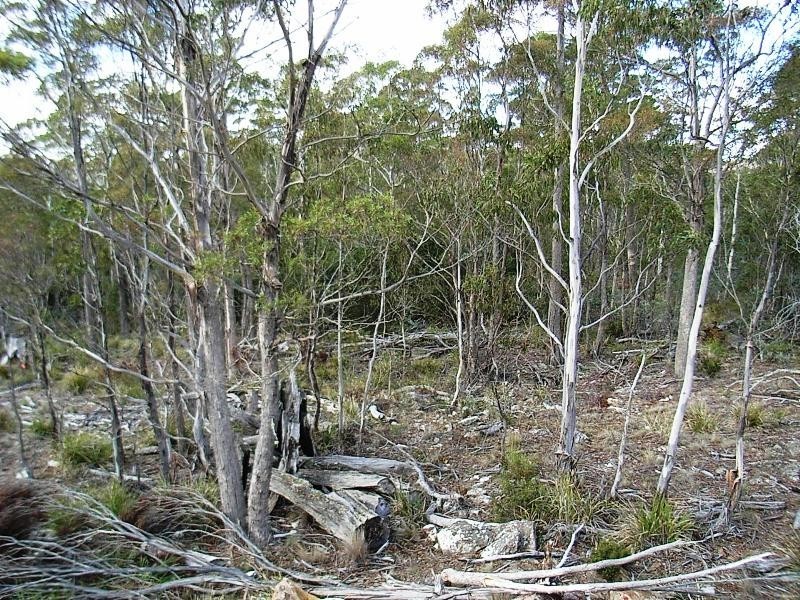 92 Lake View Road, Lake Leake TAS 7210