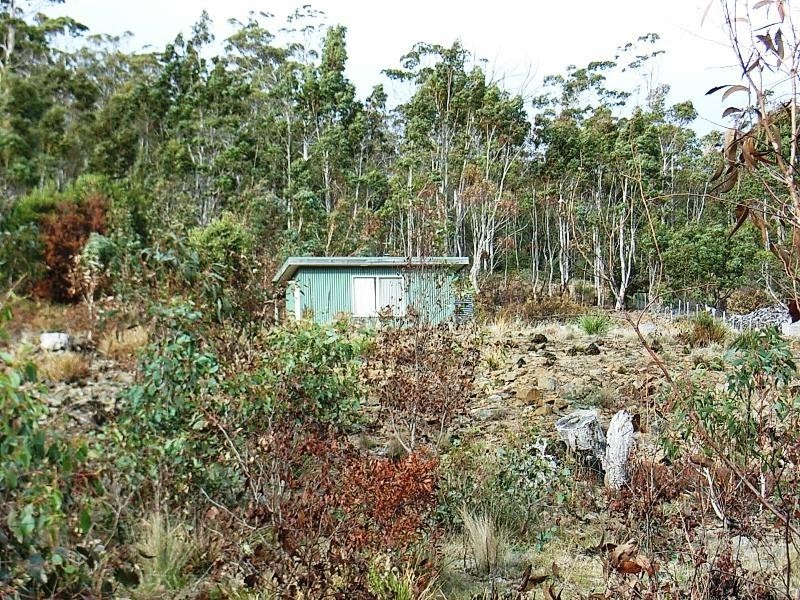 12 Brewis Place, Lake Leake TAS 7210