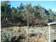 12 Brewis Place, Lake Leake TAS 7210