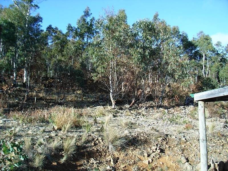 12 Brewis Place, Lake Leake TAS 7210