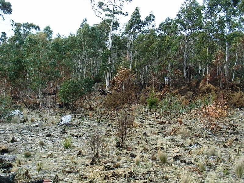 12 Brewis Place, Lake Leake TAS 7210