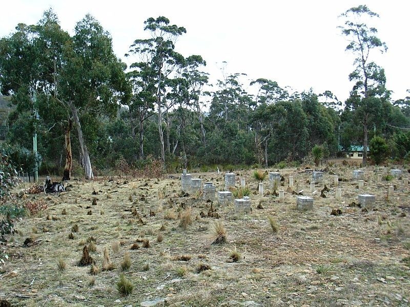 12 Brewis Place, Lake Leake TAS 7210