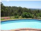 61 Wallaby Drive, Mudgeeraba QLD 4213