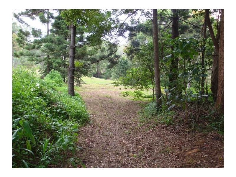 55 Coorabin Court, Tallebudgera QLD 4228