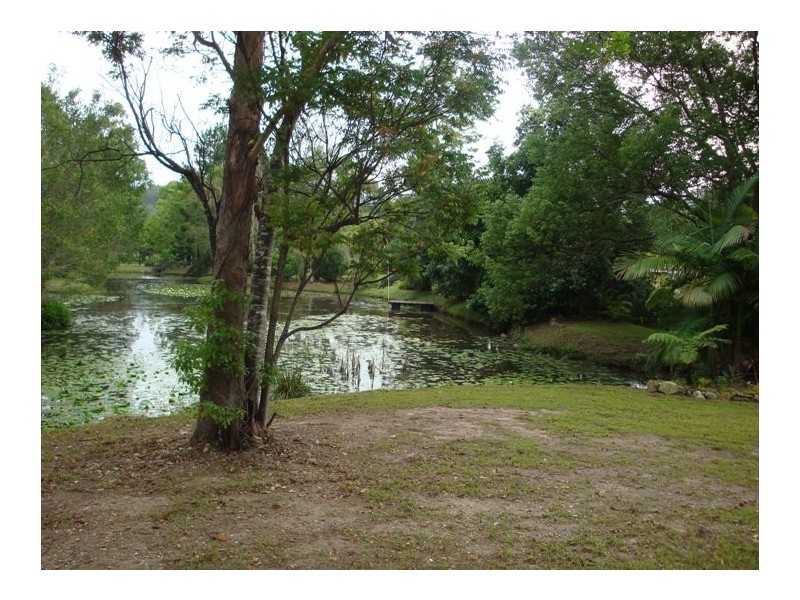 55 Coorabin Court, Tallebudgera QLD 4228