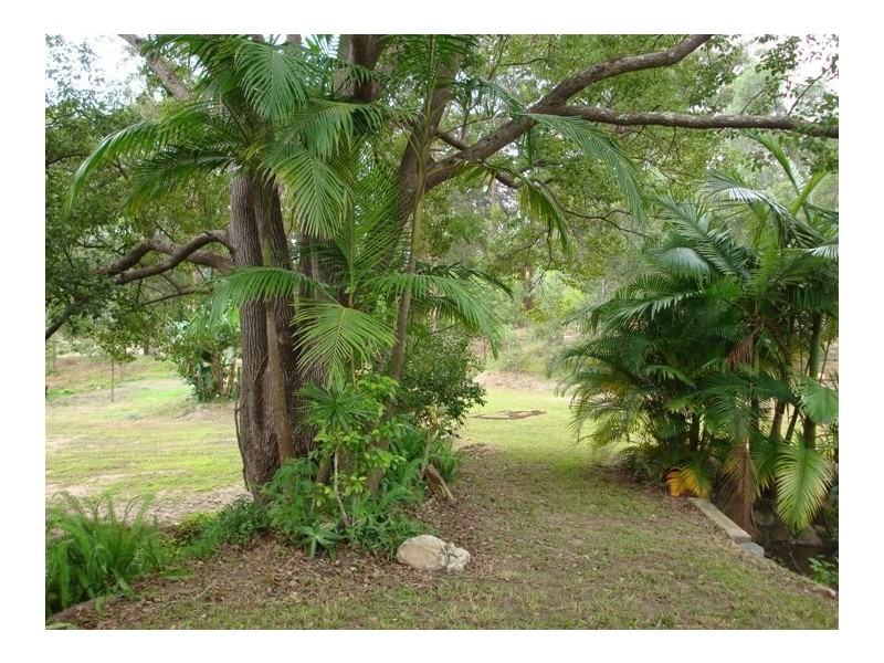 55 Coorabin Court, Tallebudgera QLD 4228