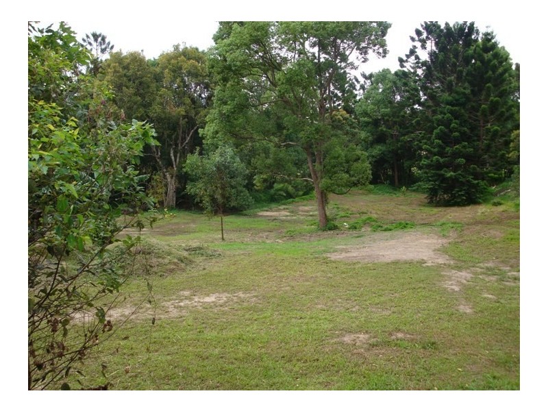 55 Coorabin Court, Tallebudgera QLD 4228