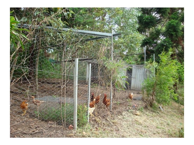 55 Coorabin Court, Tallebudgera QLD 4228