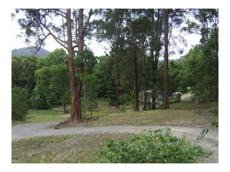 55 Coorabin Court, Tallebudgera QLD 4228