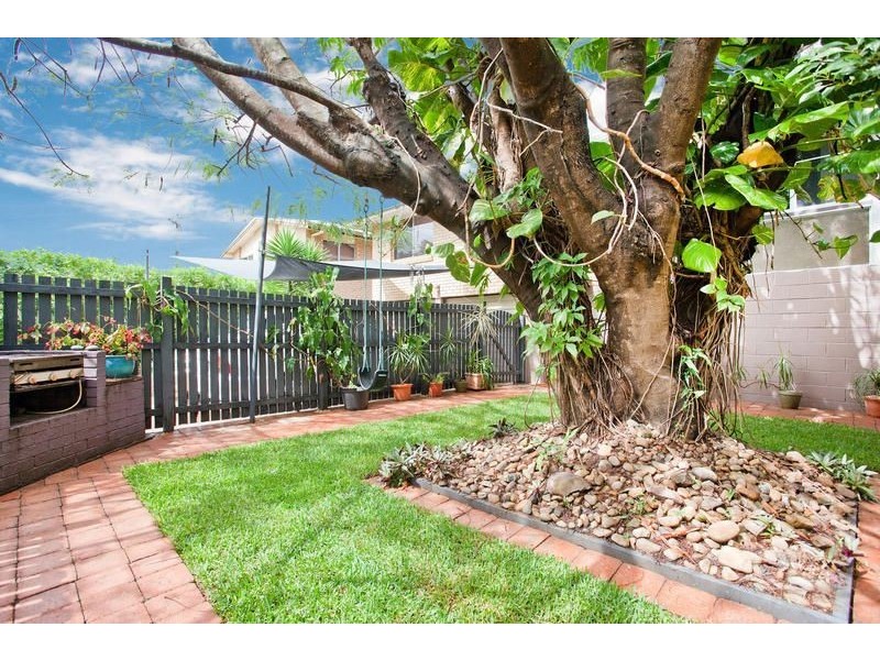 19 Paradise Street, Nerang QLD 4211