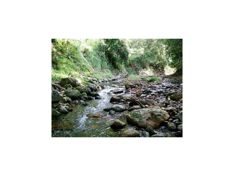 1830 Tallebudgera Creek Road, Tallebudgera Valley QLD 4228