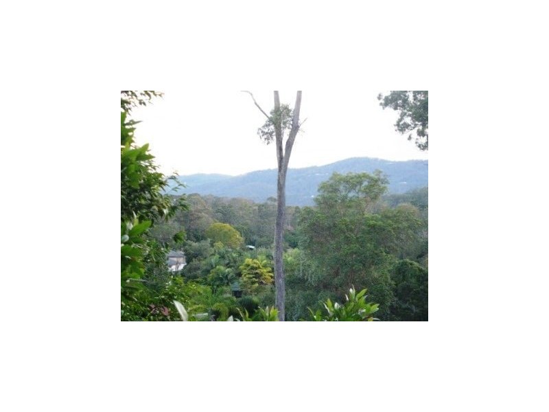 22 Nikau Crescent, Nerang QLD 4211