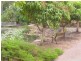 31 Uplands Court, Tallai QLD 4213