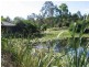 31 Uplands Court, Tallai QLD 4213
