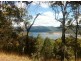 564 The Panorama, Tallai QLD 4213