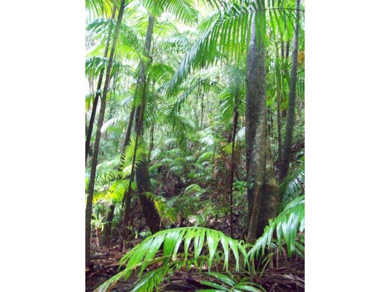 89 Araluen Road, Tallebudgera Valley QLD 4228