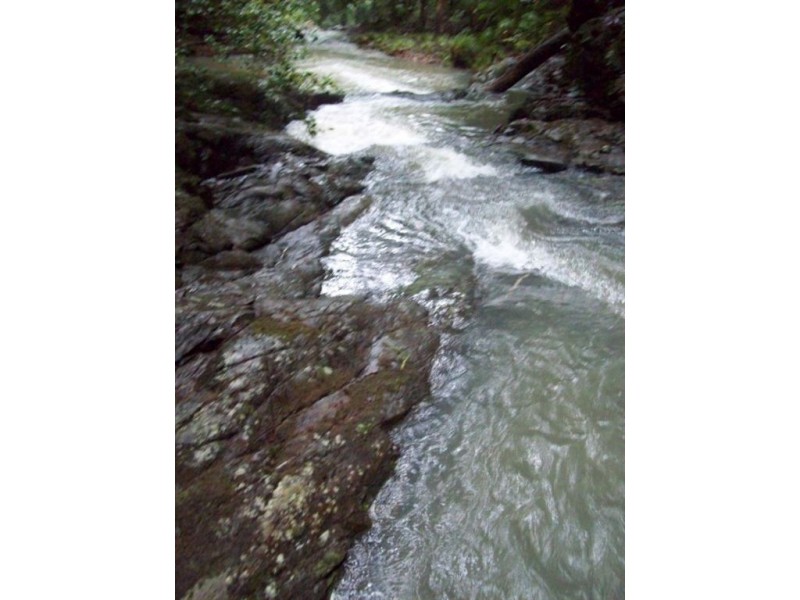 89 Araluen Road, Tallebudgera Valley QLD 4228