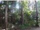 11 Mimosa Road, Springbrook QLD 4213