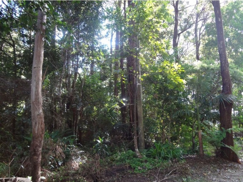 11 Mimosa Road, Springbrook QLD 4213