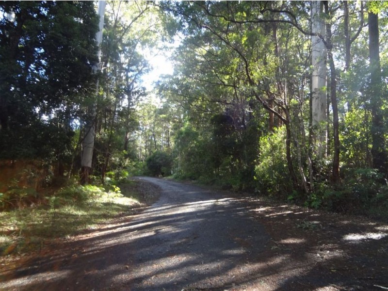 11 Mimosa Road, Springbrook QLD 4213