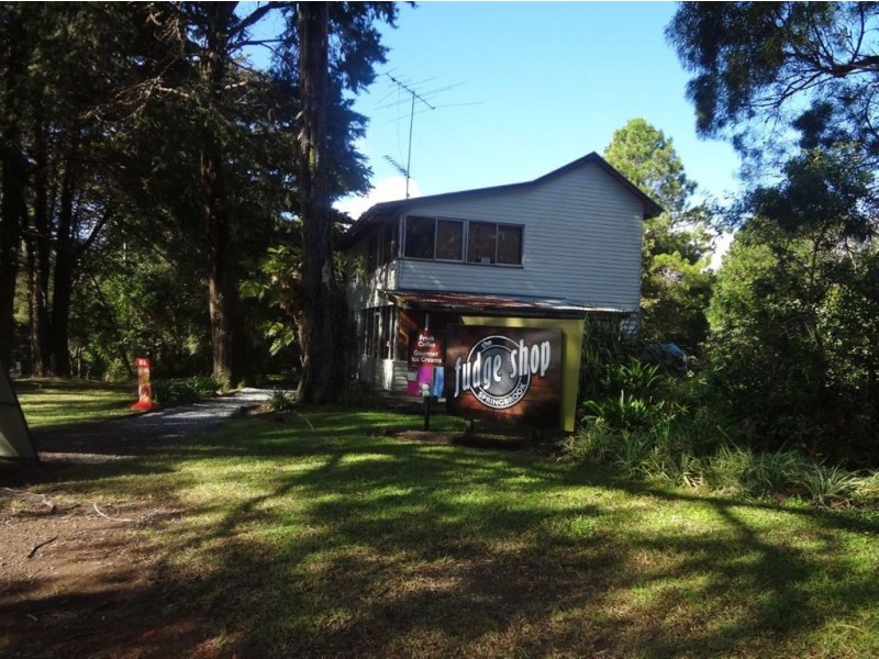 11 Mimosa Road, Springbrook QLD 4213