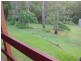 25 Currong Crescent, Mudgeeraba QLD 4213