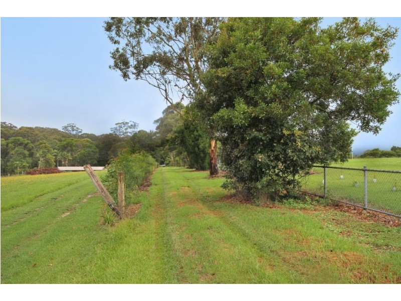 2311C Springbrook Road, Springbrook QLD 4213