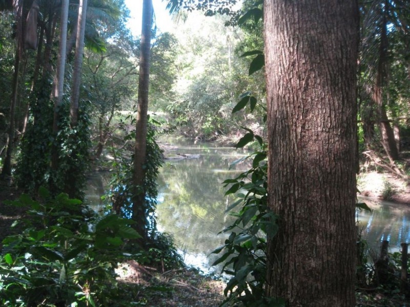 53 Tyalgum Street, Mudgeeraba QLD 4213