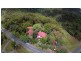 251 Chesterfield Drive, Bonogin QLD 4213