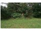 37 Lyrebird Ridge Road, Springbrook QLD 4213