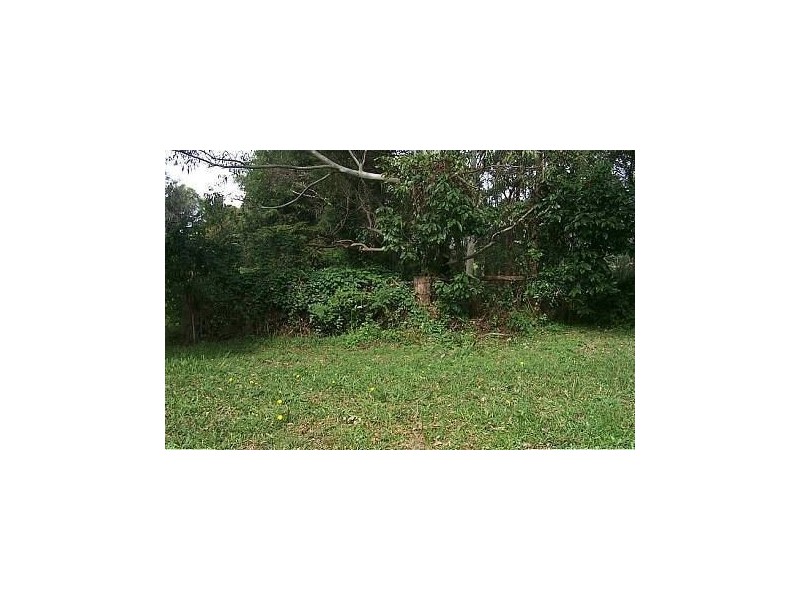 37 Lyrebird Ridge Road, Springbrook QLD 4213